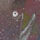�T�P